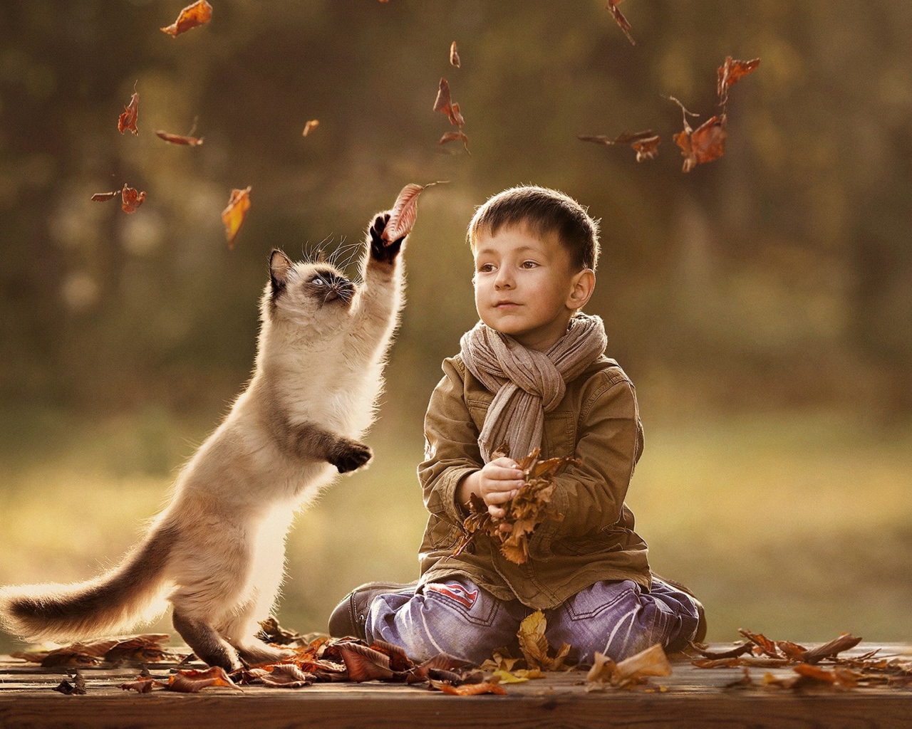 Ребенок и кот играют вместе