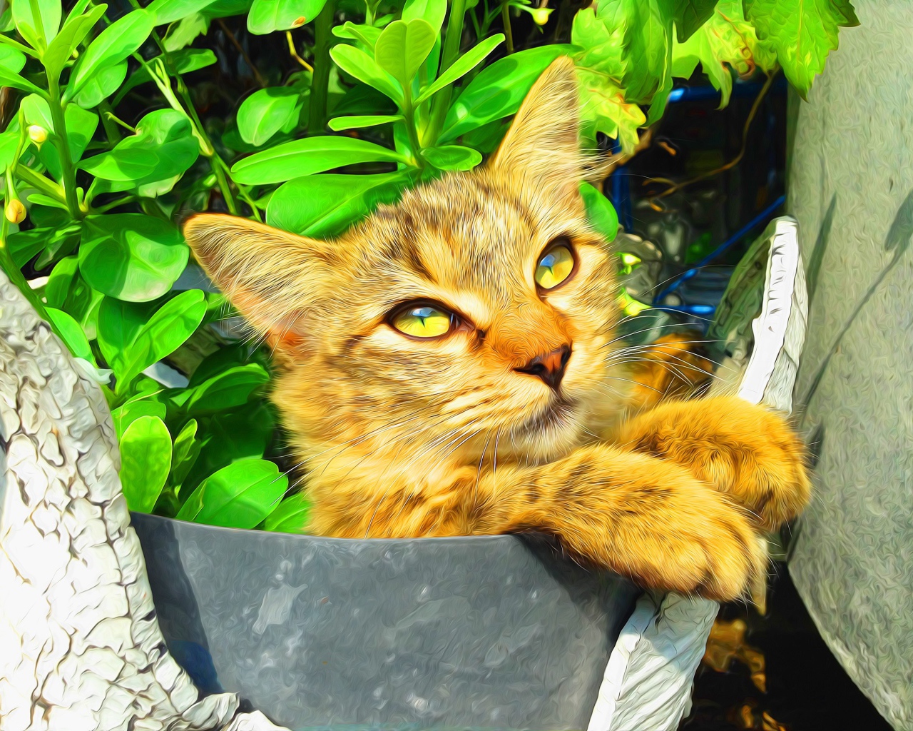 Милый рыжий кот на фоне зелени