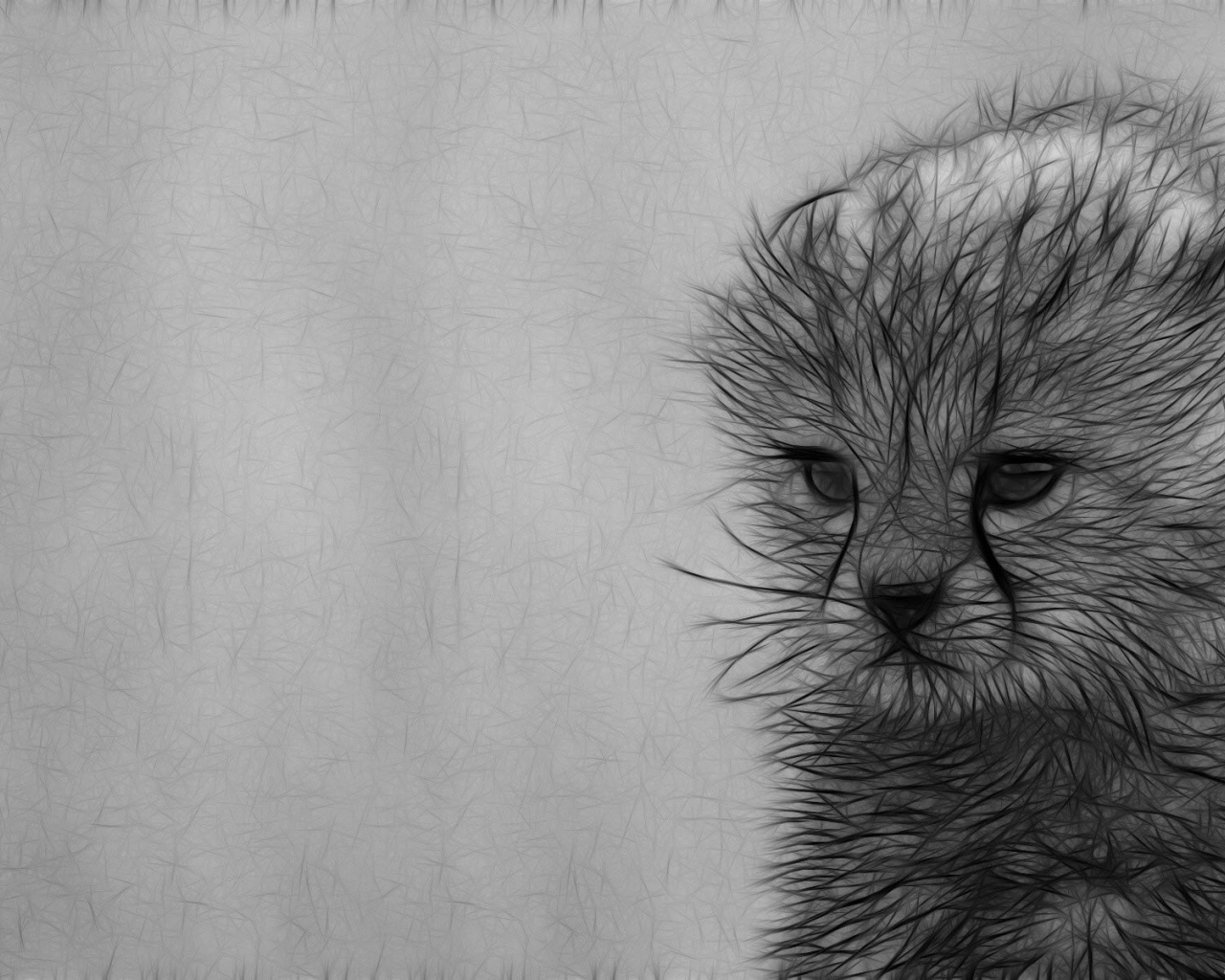 Серый рисунок котенка