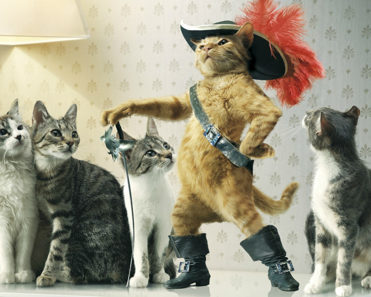 Коты с предводителем