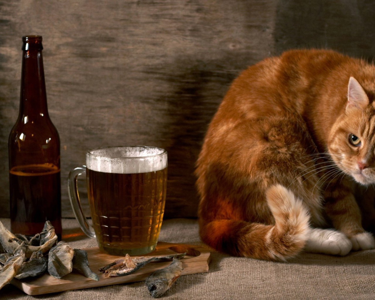 Рыжик тоже хочет пива