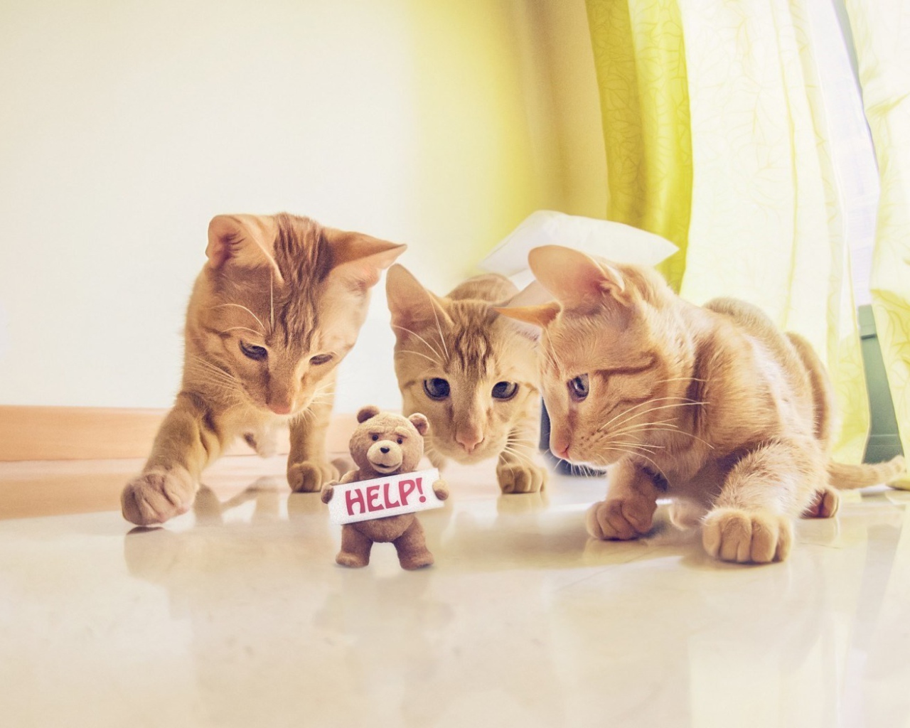Игрушка просит спасения от котов