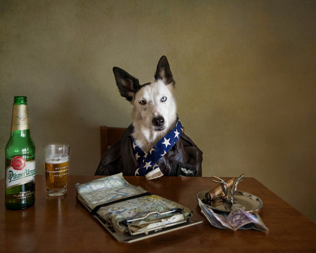 Собака за столом с пивом