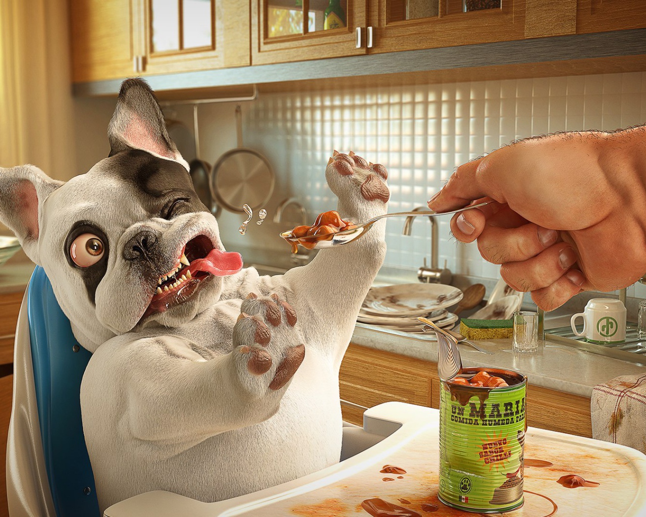 Собака отказывается от консервы