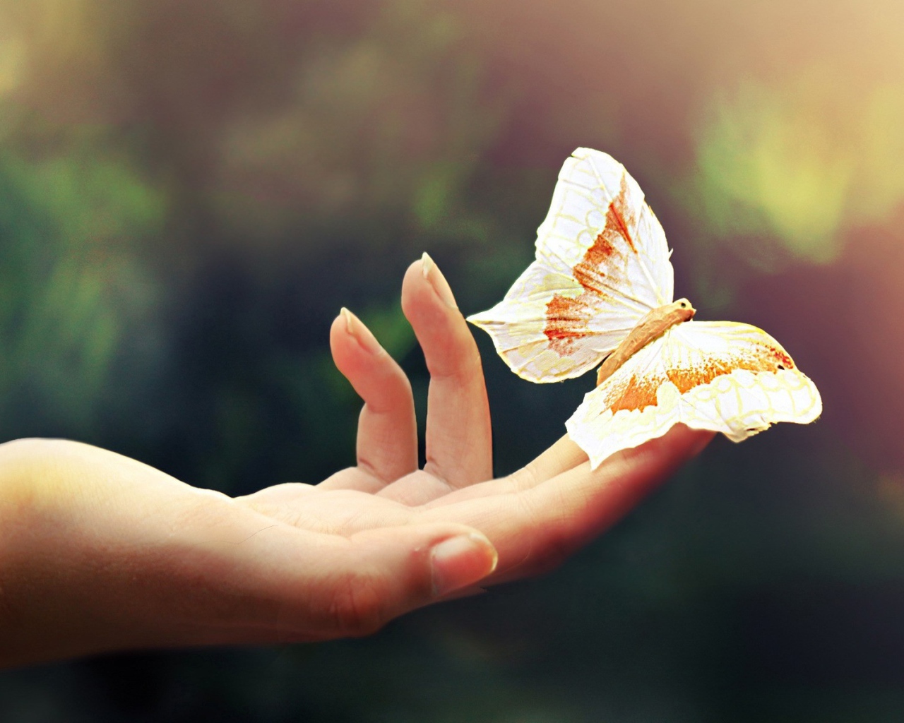 Большая бабочка на пальцах руки