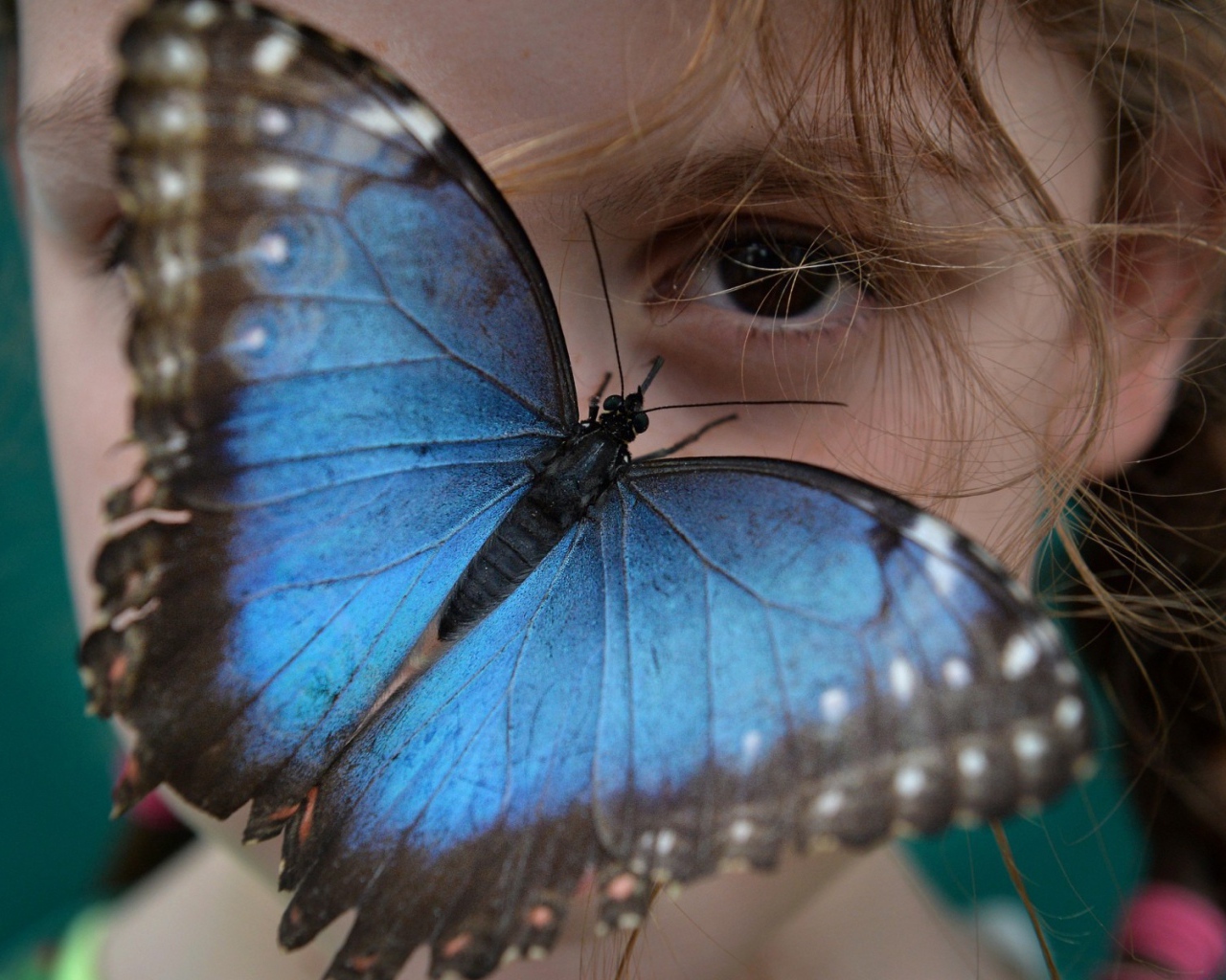 Синяя бабочка на лице девочки