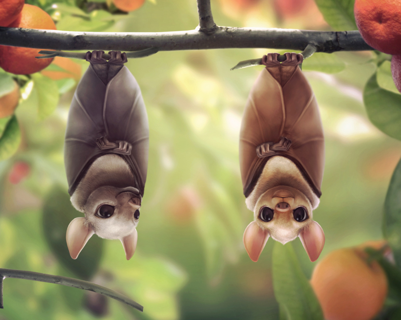 	   Bats on the Mandarin