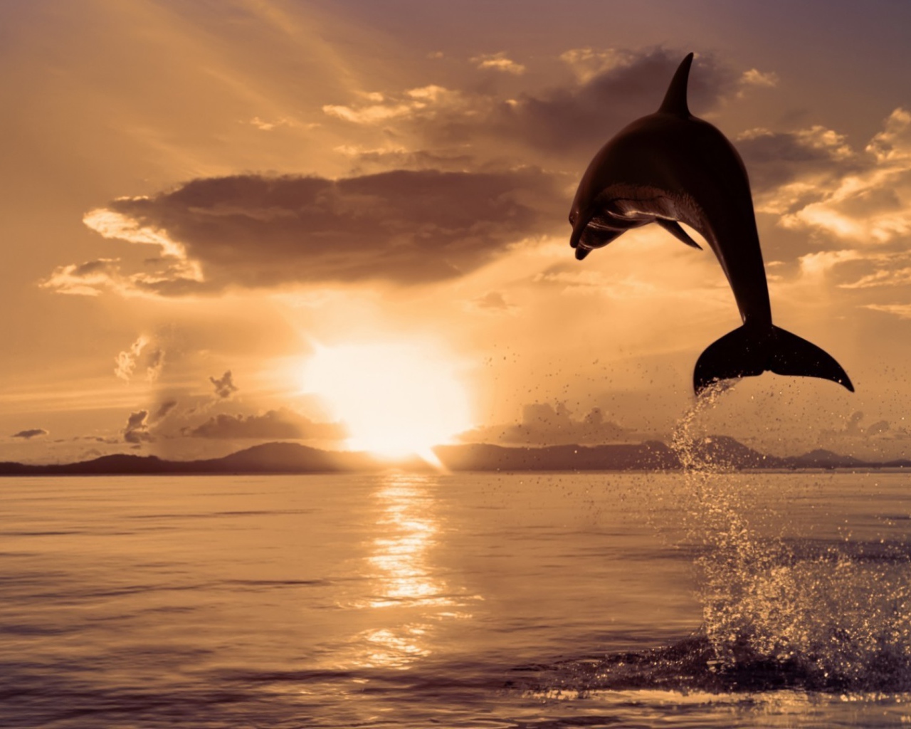 Дельфин высоко выпрыгнул из воды