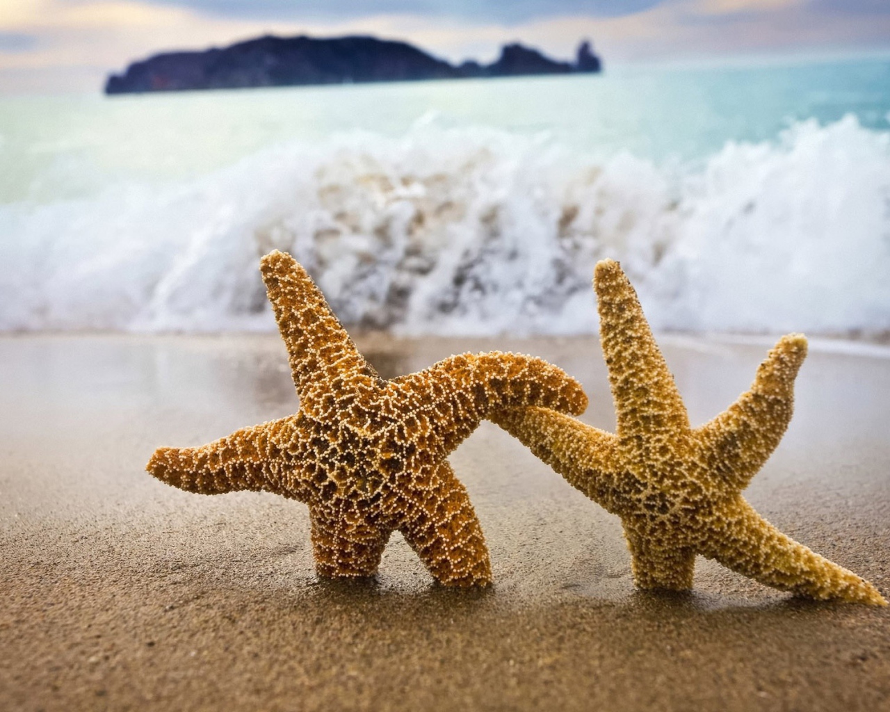 Две морские звезды в песке пляжа