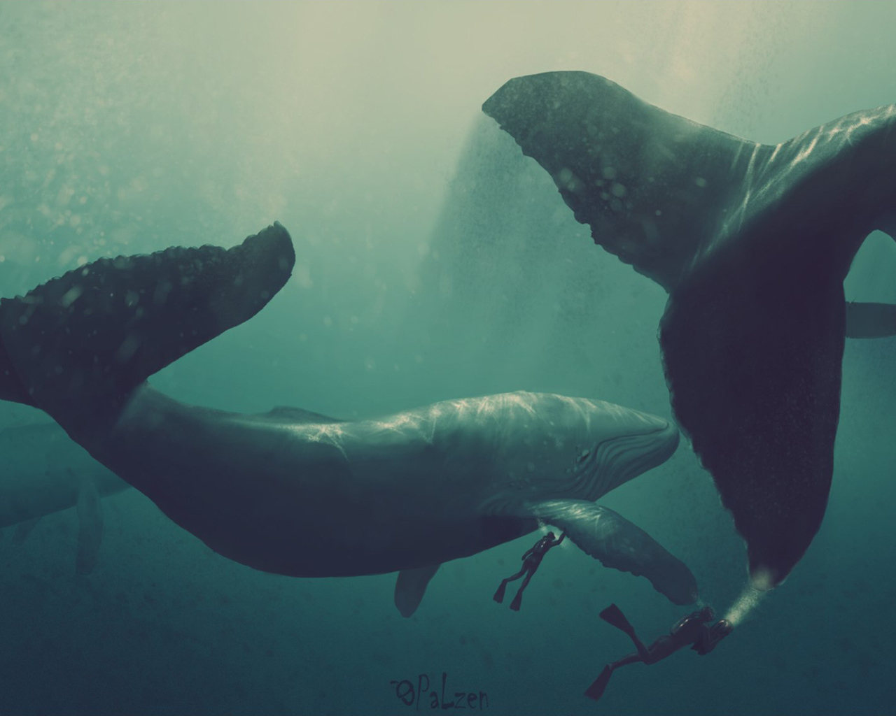 Киты и водолазы