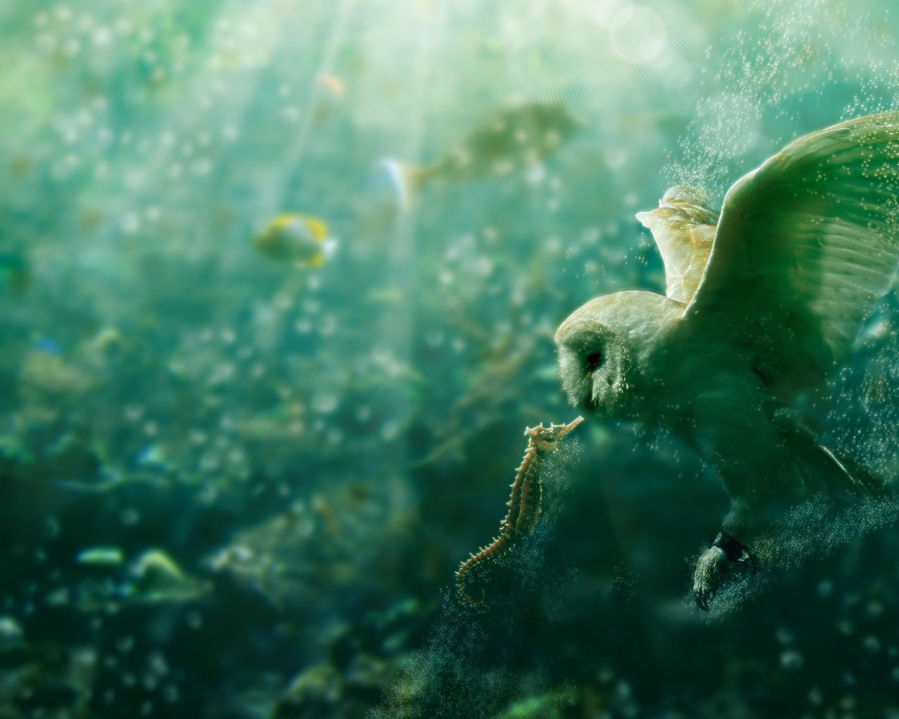 Сова и морской конек под водой