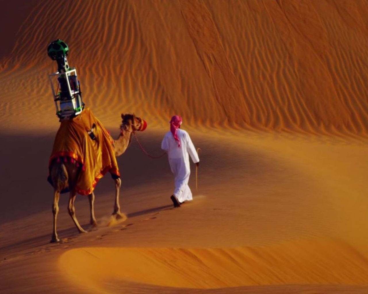 Бедуин с верблюдом в пустыне