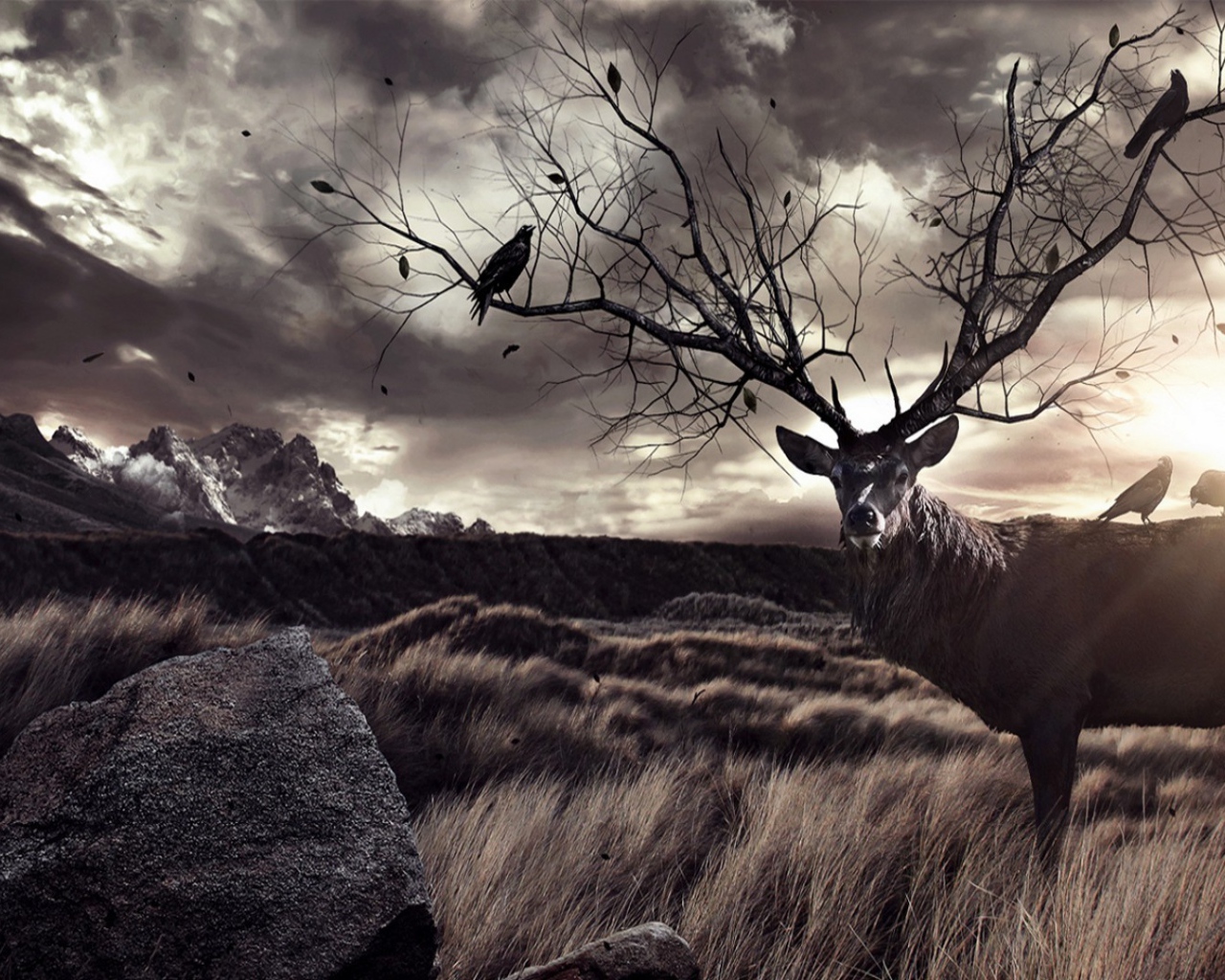 Птицы на ветвистых рогах оленя