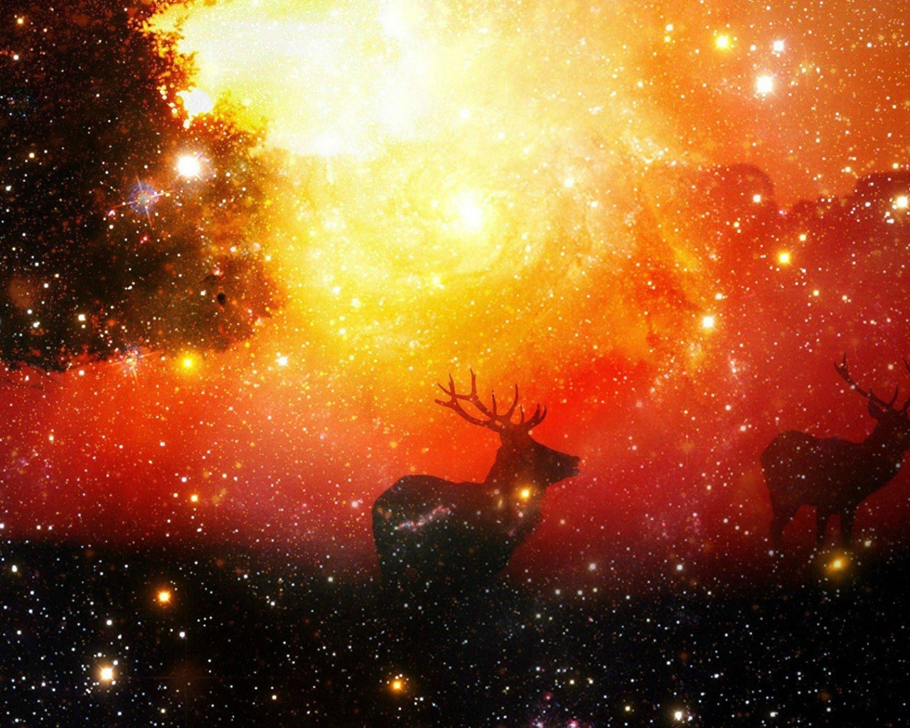 Олени среди звезд