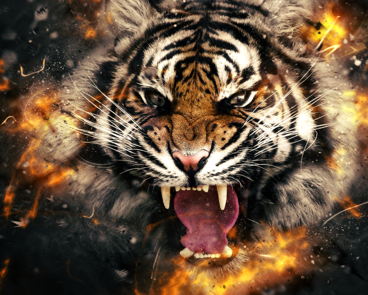 Огненный злой тигр