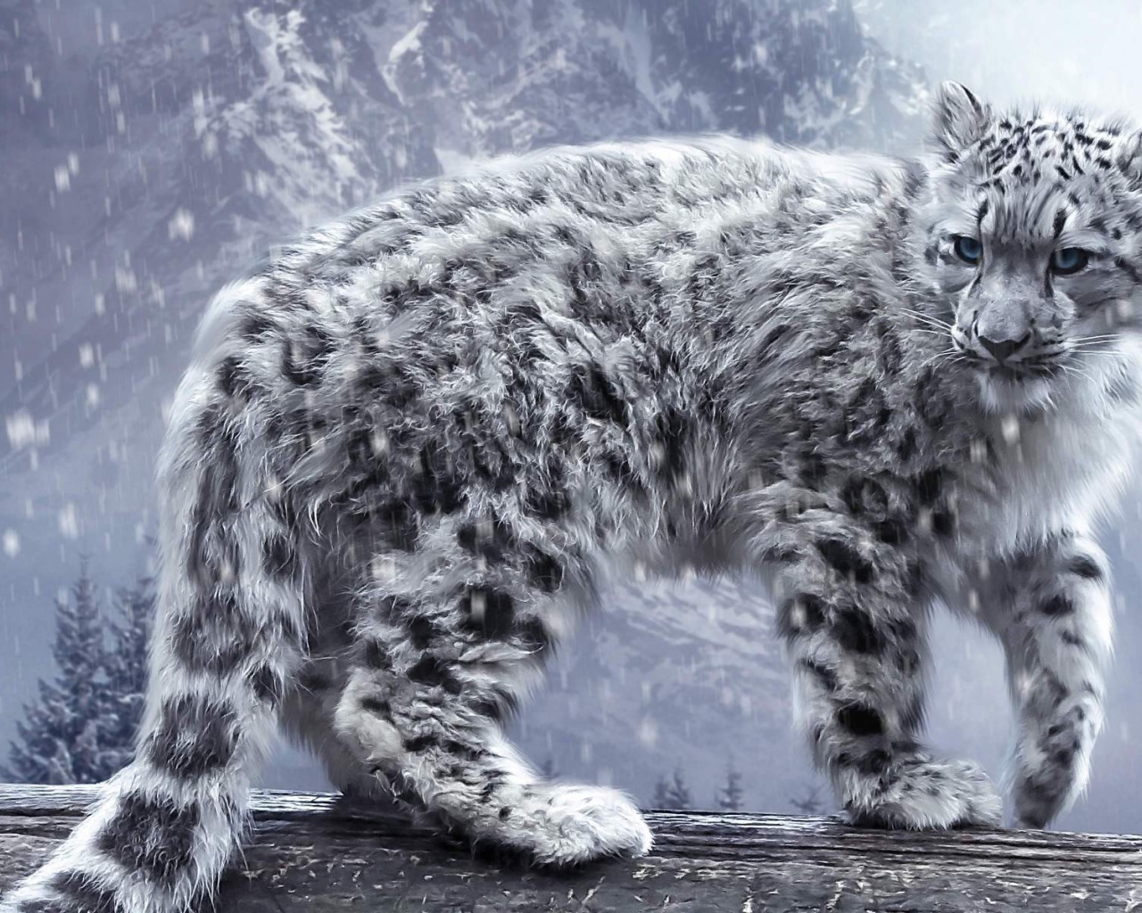 Лохматый снежный леопард с голубыми глазами