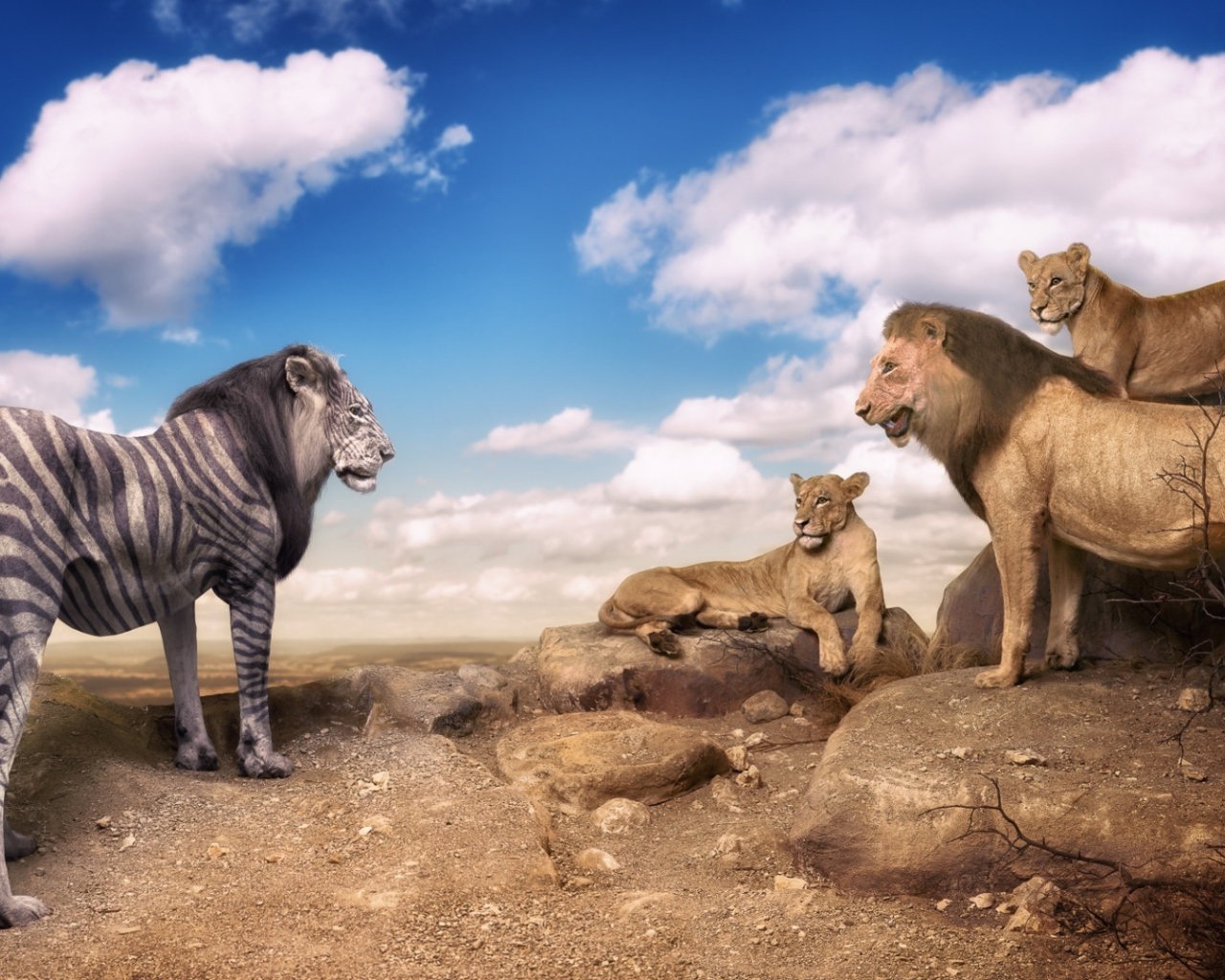 Необычный окрас льва