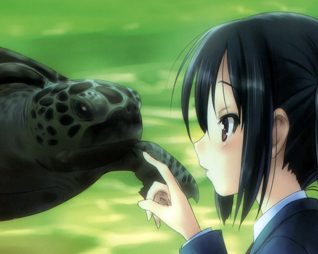 Девушка аниме и черепаха