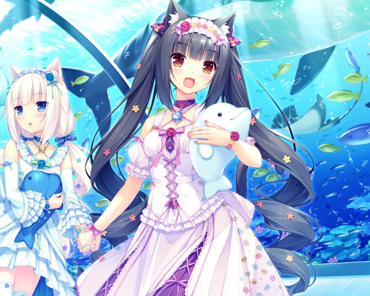 Девушки аниме в океанариуме, Neko Para