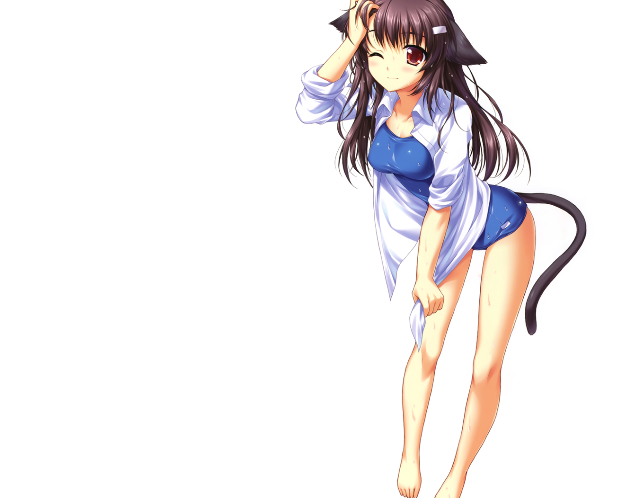 Девушка кошка, аниме Neko Para