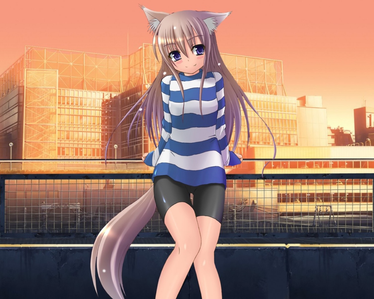 Девочка кошка на фоне зданий, аниме