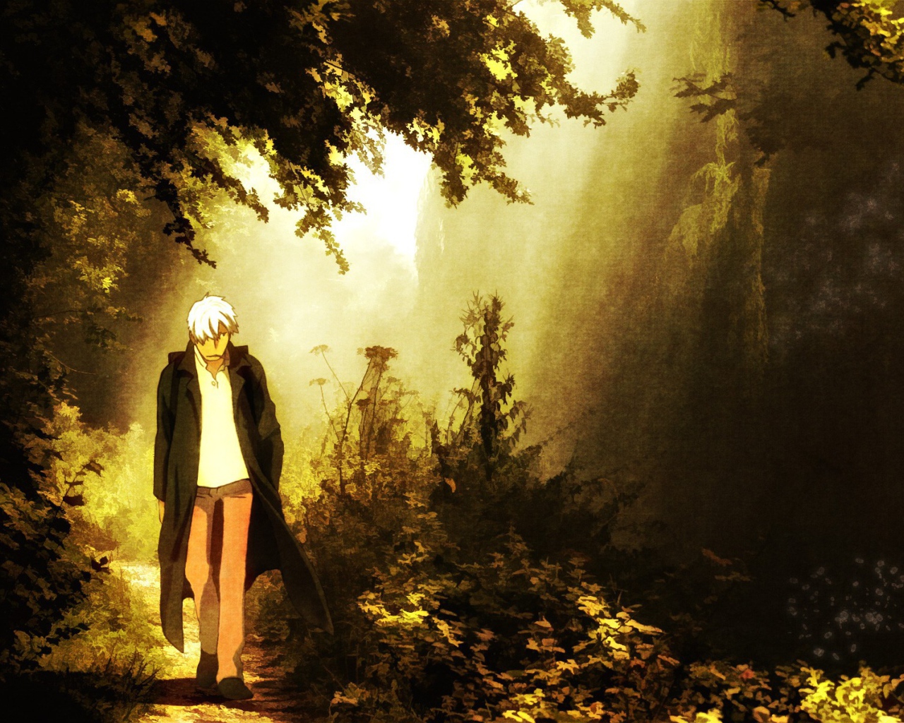 Парень идет по лесу, аниме Мастер Муси