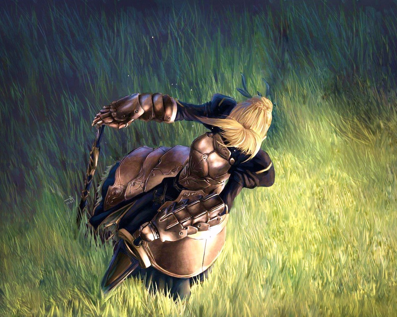 Тайп Мун в поле, аниме Ночь прибытия