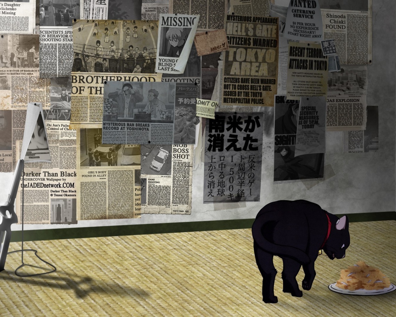 Кот в аниме Темнее черного