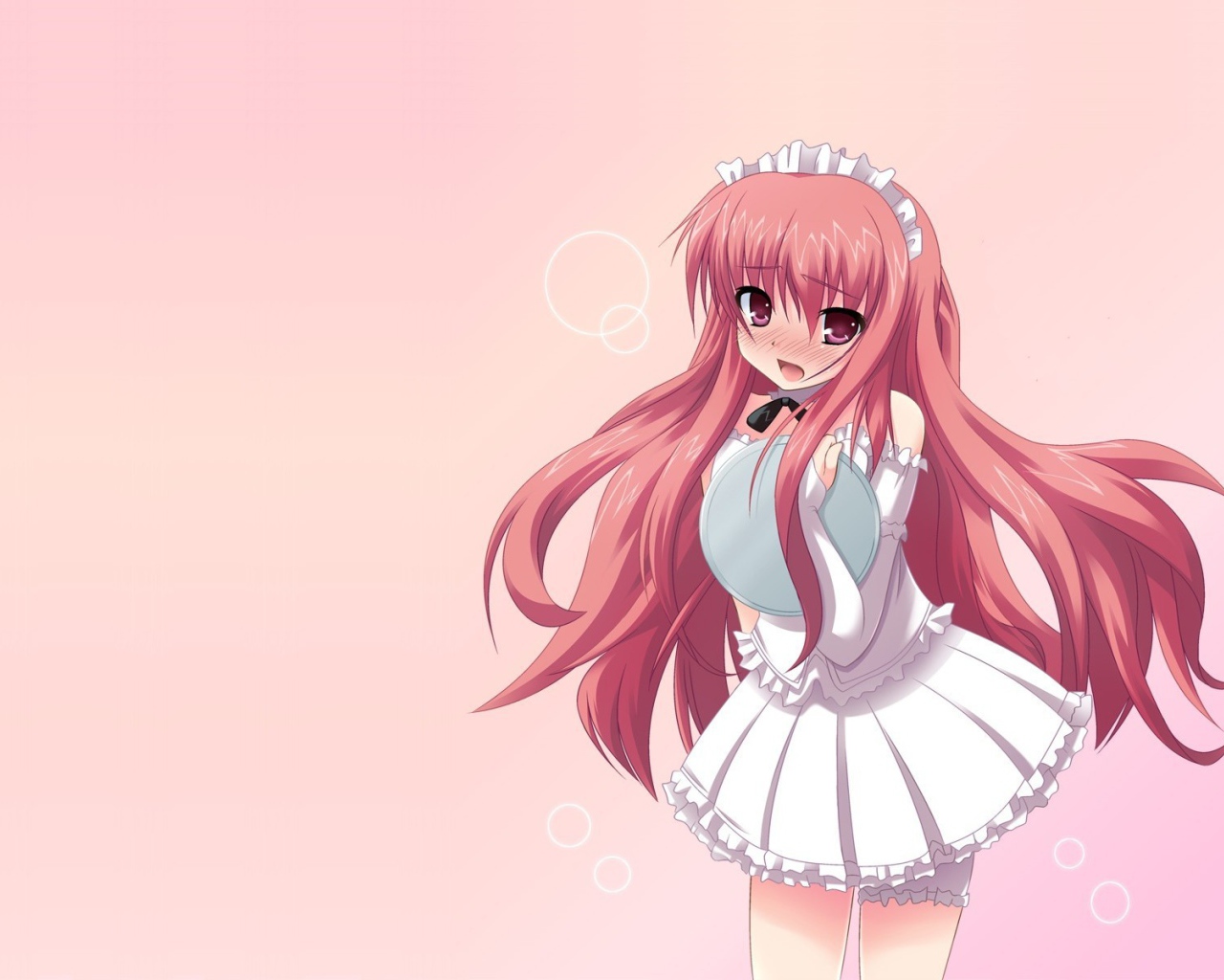 Девушка из аниме Подручный Луизы-Нулизы