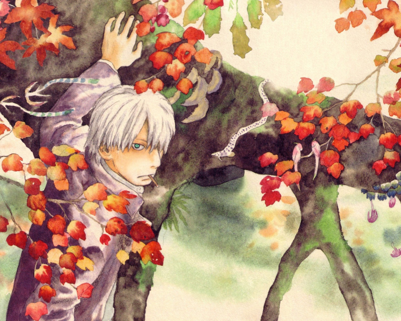 Главный герой аниме Мастер Муси