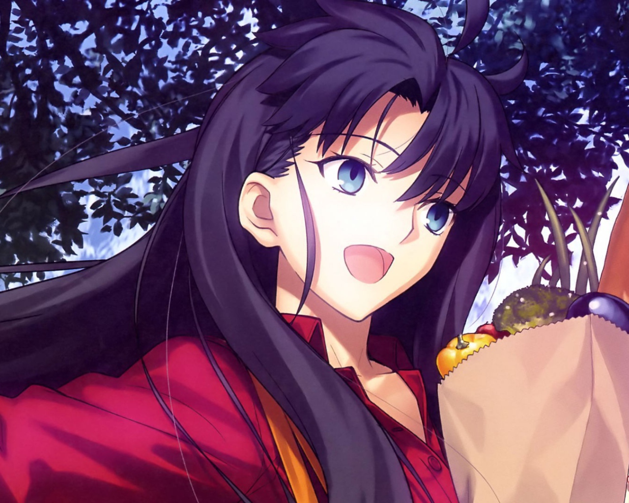 Тосака Рин, аниме Ночь прибытия