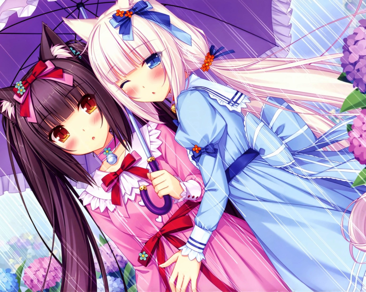 Две подружки под зонтом, аниме Neko Para