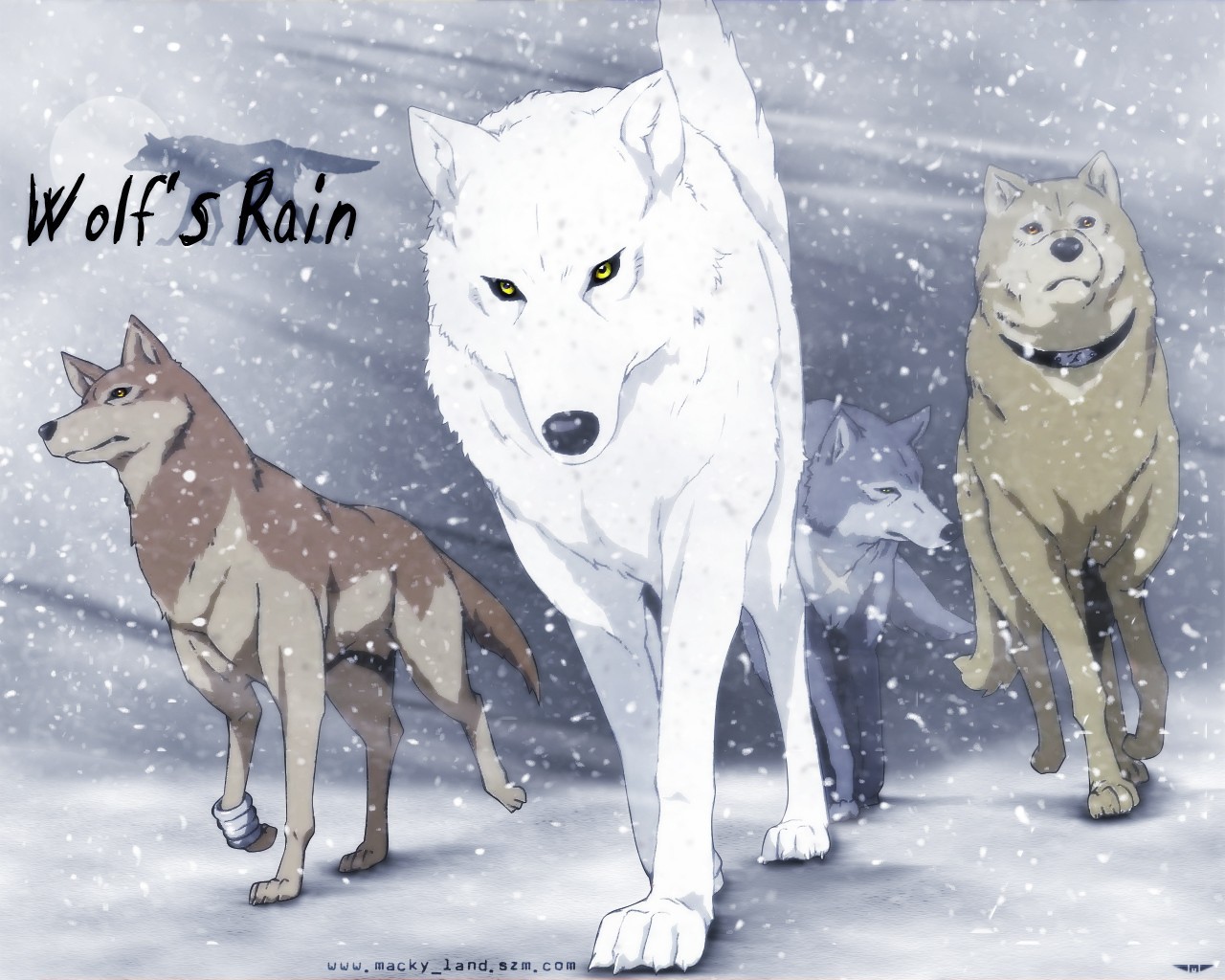 Волки в аниме Wolf's Rain