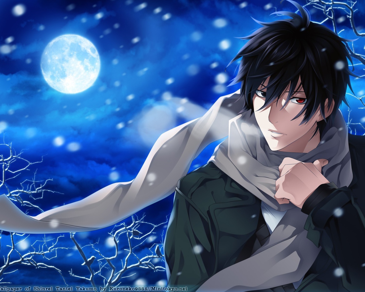 Якумо из аниме Shinrei Tantei Yakumo