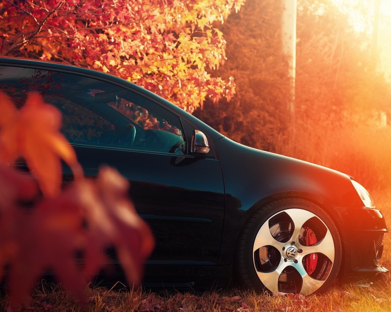 Черный автомобиль под осенней листвой