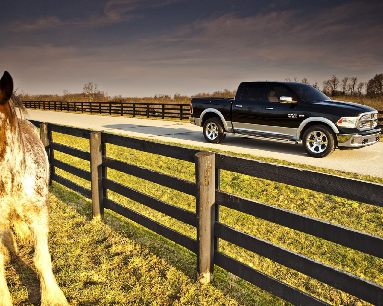 Черный пикап на ферме среди загонов