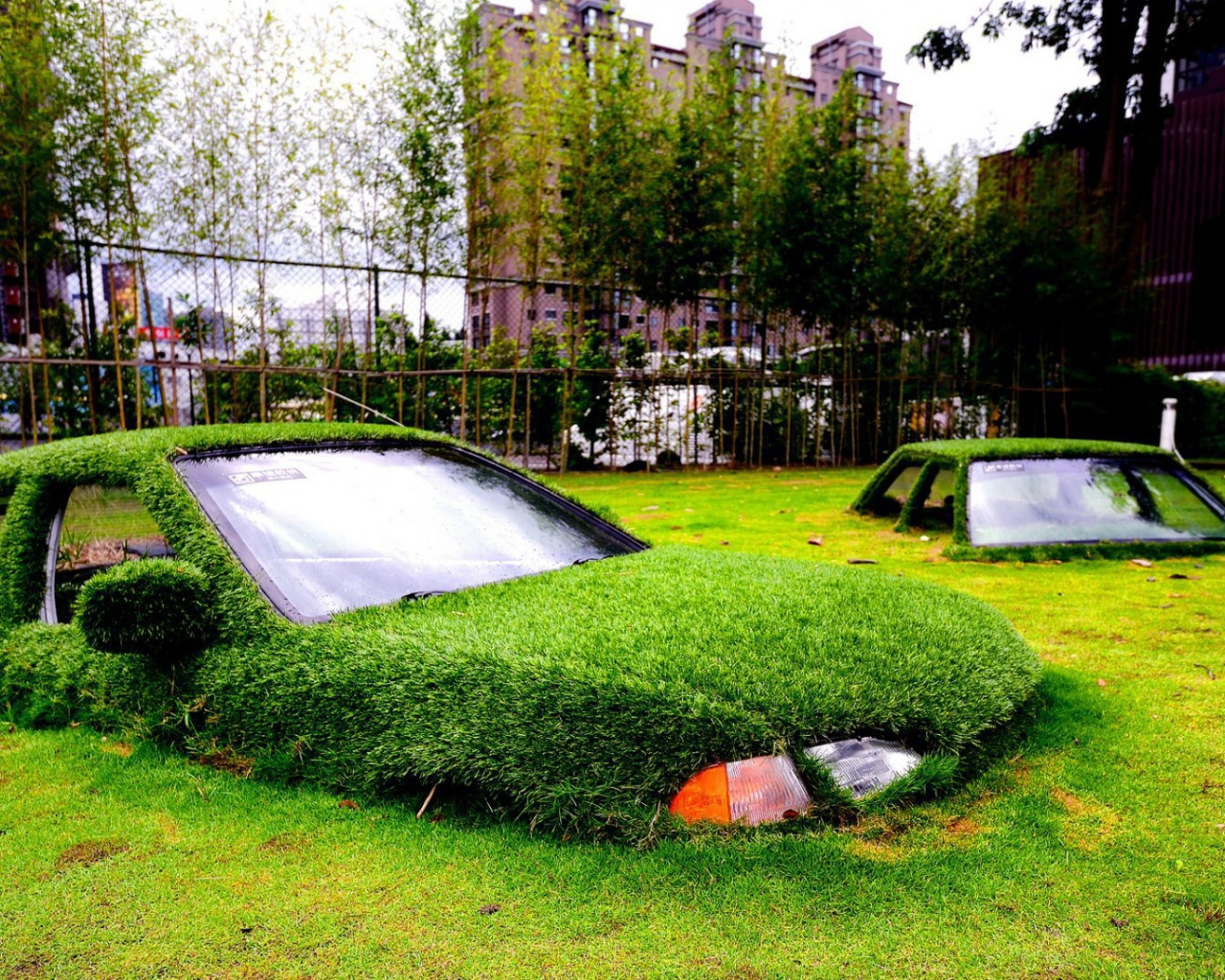 Автомобили утонули в газоне