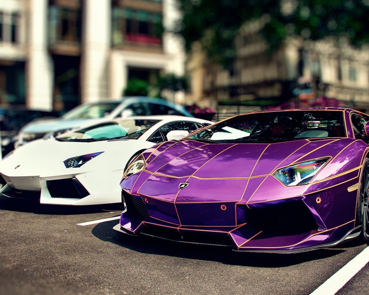 Сиреневый и белый Ламборгини