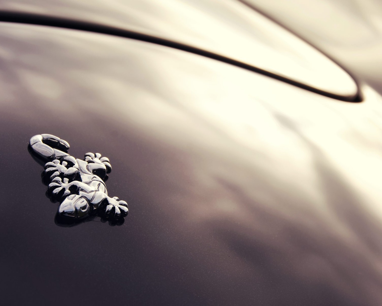 Логотип авто Wiesmann