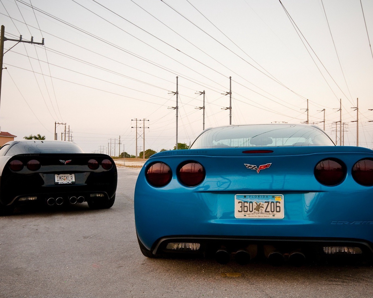 Вид сзади на спортивные авто