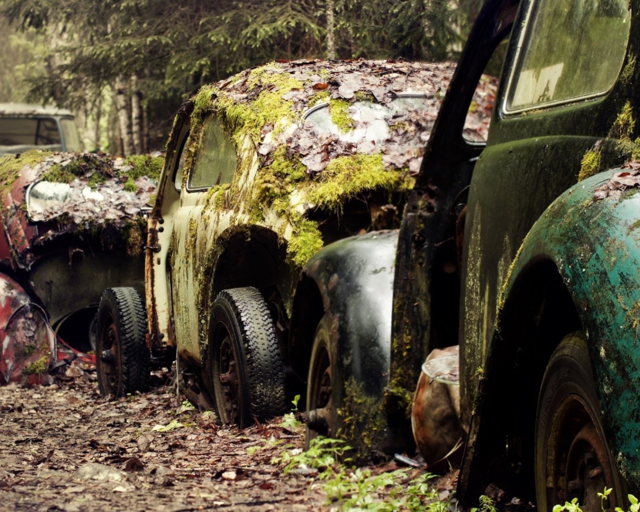 Остатки старых брошенных автомобилей