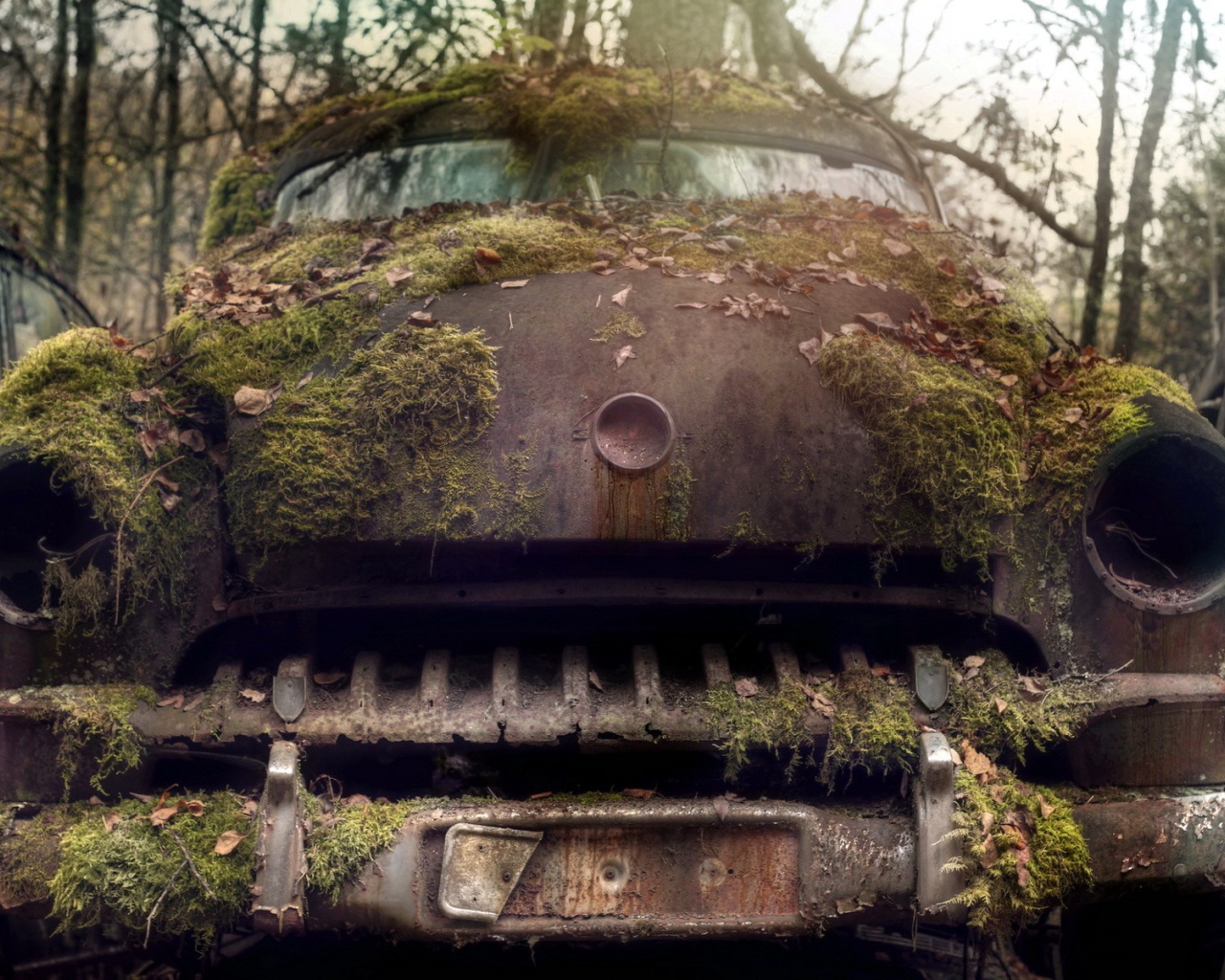 Ржавый корпус старого авто порос мхом