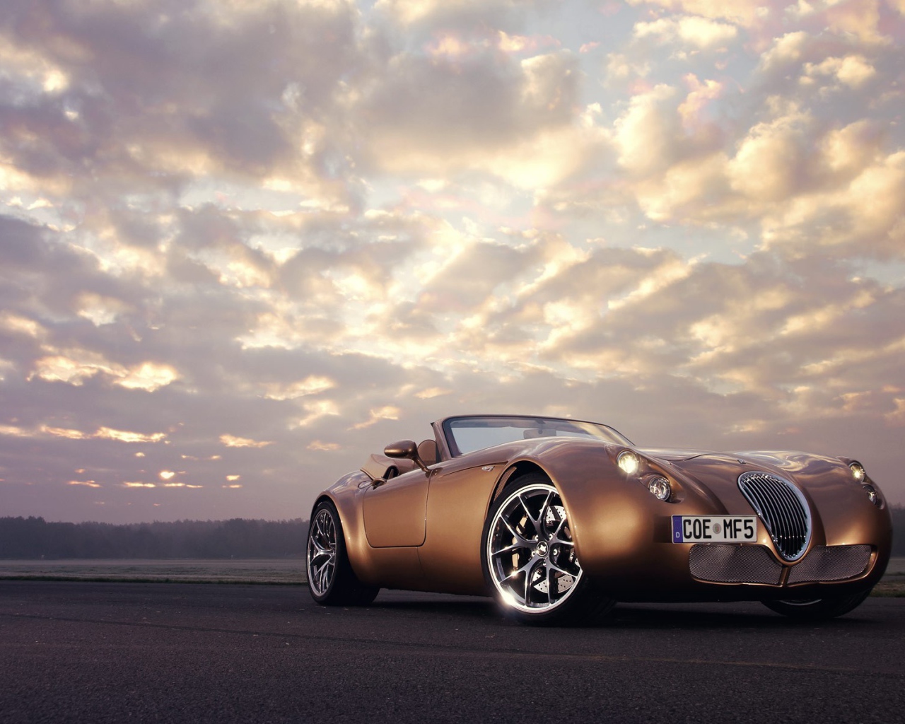 Спортивный коричневый Wiesmann