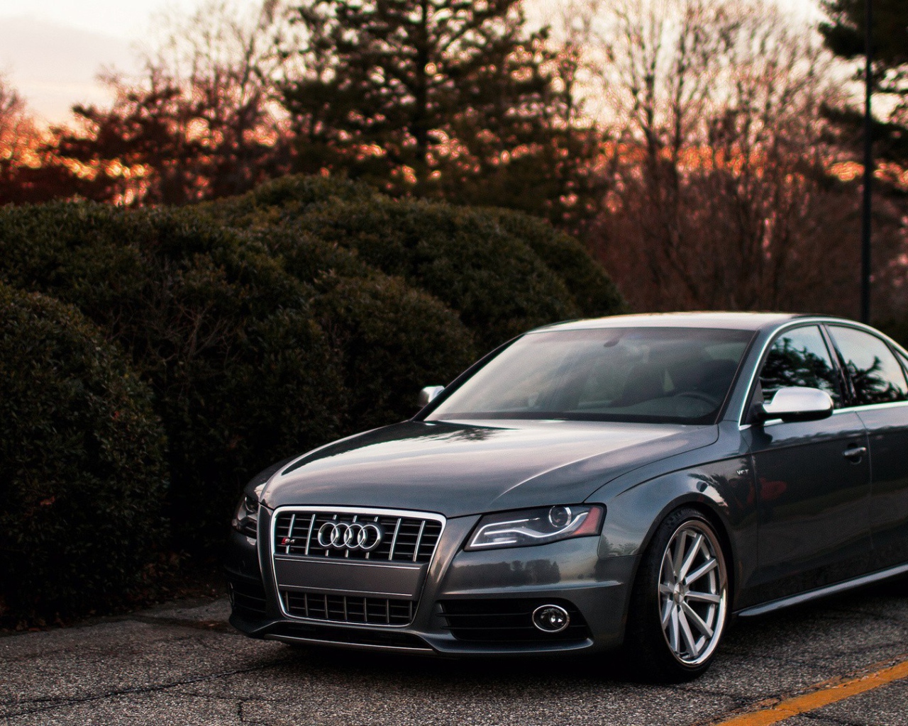 Темно серый Ауди у живой изгороди