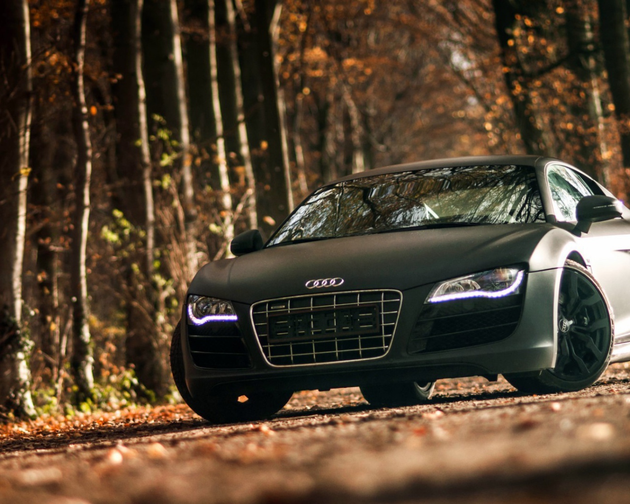 Двухдверный черный Ауди в лесу