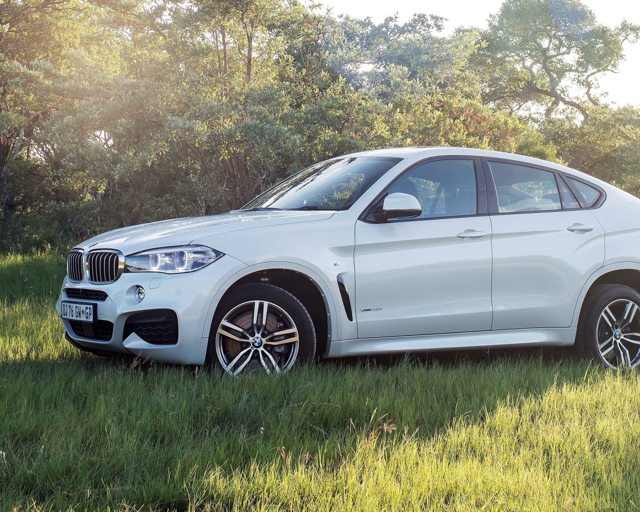 Полноприводный белый BMW на траве