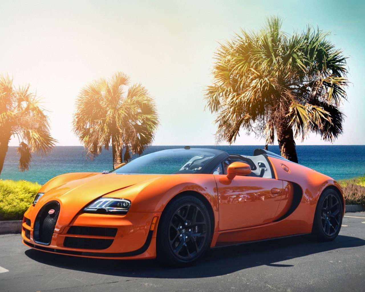 Оранжевый Bugatti Veyron на фоне пальм у моря