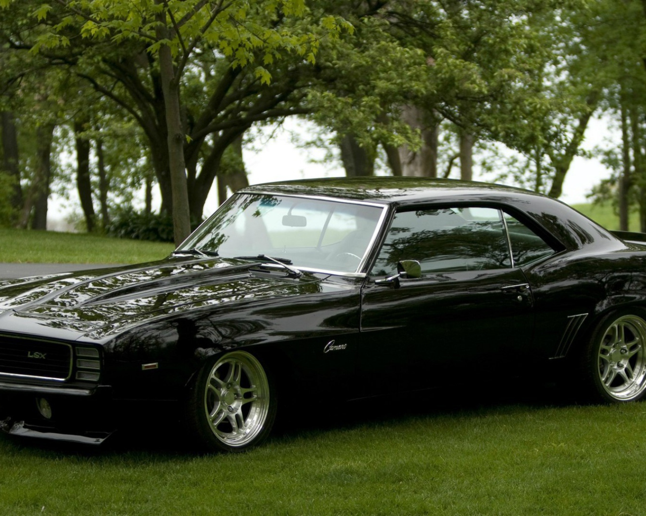 Черный Chevrolet Camaro RS на газоне