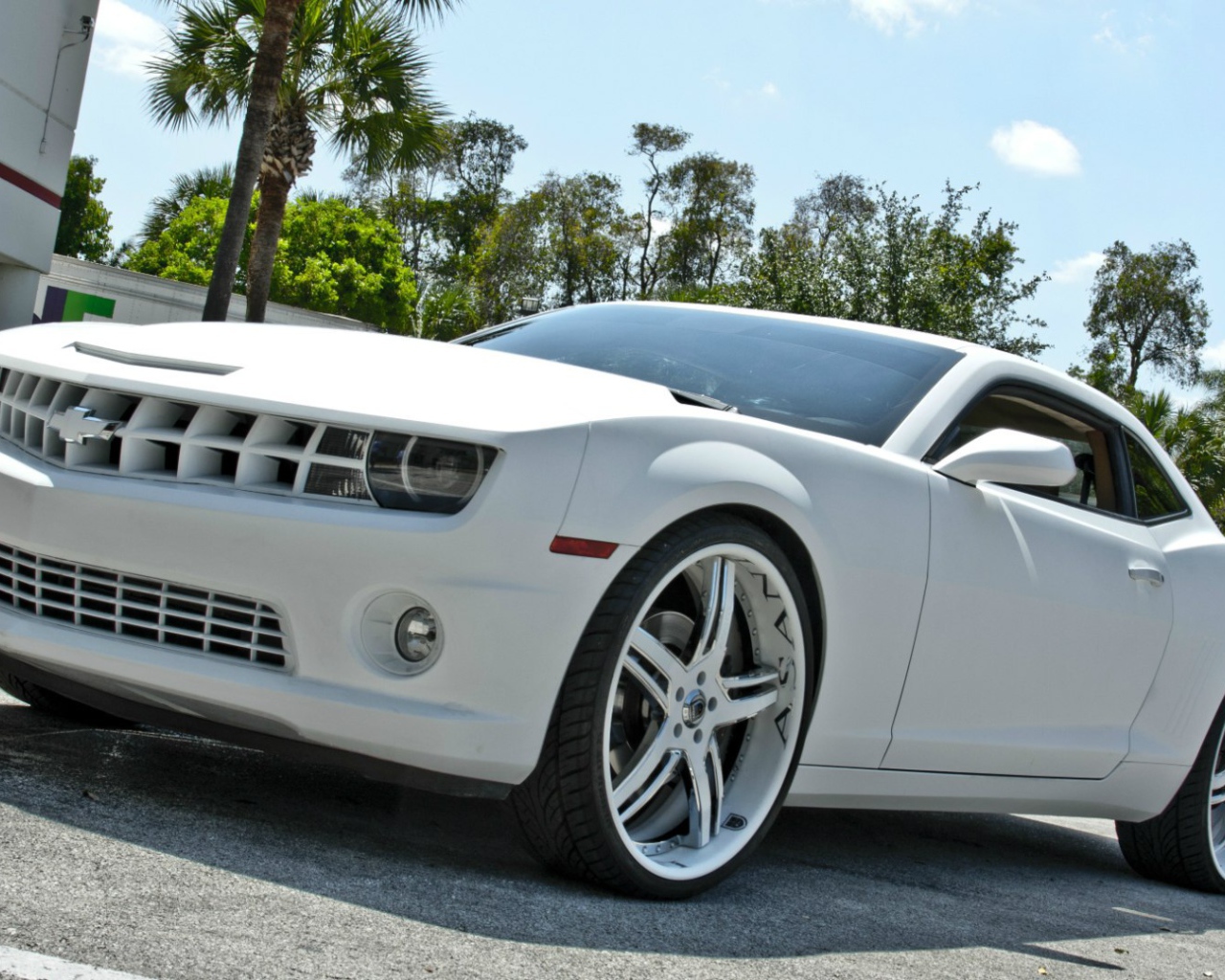 Мощный белый Chevrolet Camaro Asanti