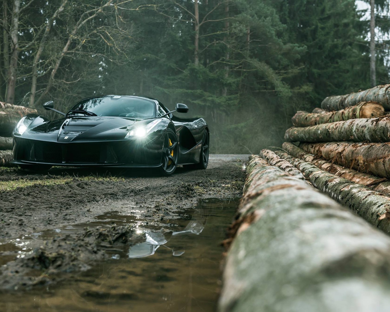 Черный Ferrari LaFerrari на лесоповале
